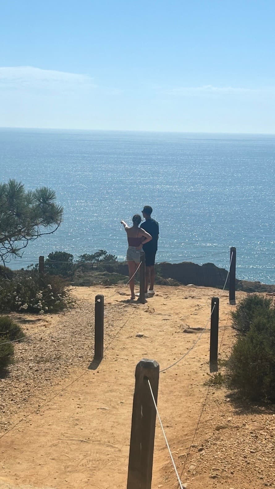 Proposal